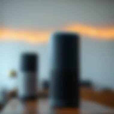Magnificent Comprehensive Exploration of Amazon Alexa Voice Activated Speakers Magnificent Comprehensive Exploration of Amazon Alexa Voice Activated Speakers