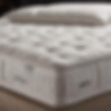 Magnificent Comprehensive Guide to the 8 Sleep Mattress Topper