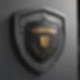 Advanced Security Shield Icon