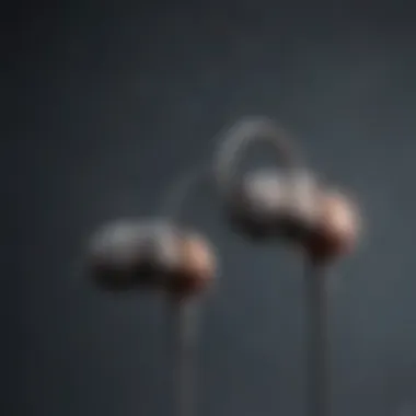 Luxurious Apple Earphone Materials