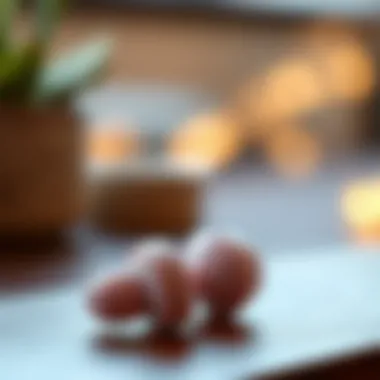 Comfortable earplugs designed for sound sensitivity