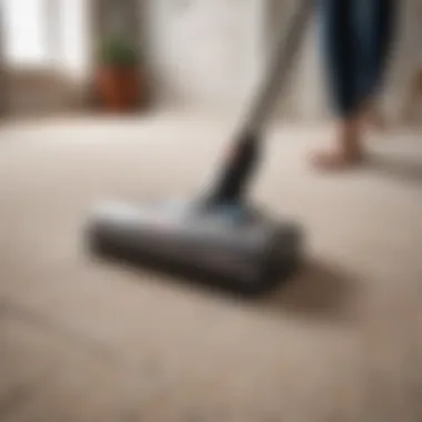 Cordless pet vacuum in action on a carpet