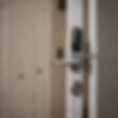 Innovative Security Technology in WiFi Lock Cutting-Edge Security Features