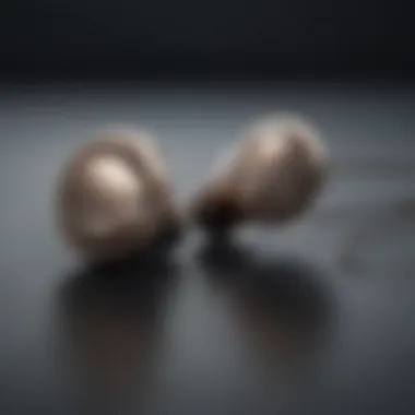 Sleek and Sophisticated Earbuds for Seamless Voice Assistant Integration Elegant Earbuds with Voice Assistant Integration