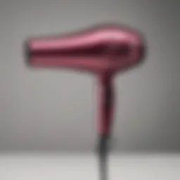 Elegant hair dryer design by Hot Tools