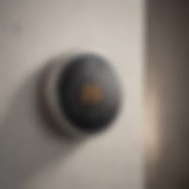 Energy-Efficient Smart Thermostat An energy-efficient smart thermostat on a wall