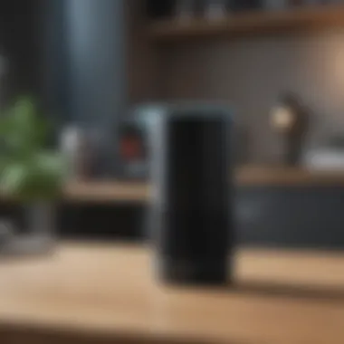 User interacting with Amazon Echo voice commands