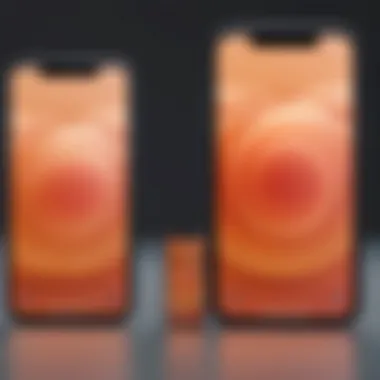 Illustrative Comparison of iPhone 11 Screen Sizes Comparison chart of iPhone 11 screen size