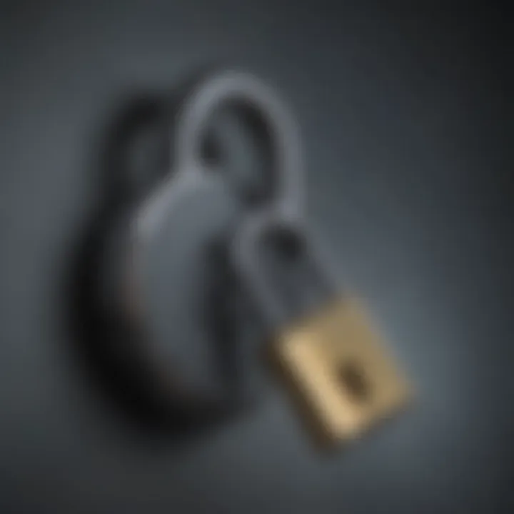 Visual metaphor of a lock symbolizing secure internet connection