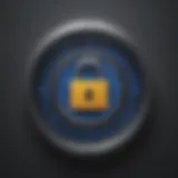 Secure Password Icon