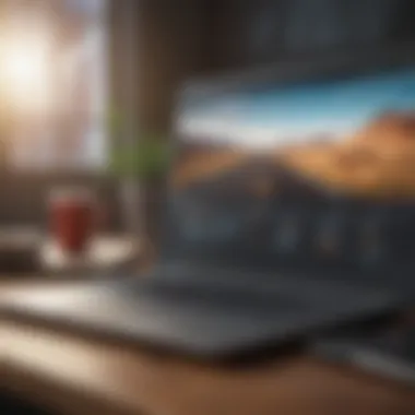 Software Compatibility for Video Editing Applications A laptop displaying software compatibility for various video editing applications