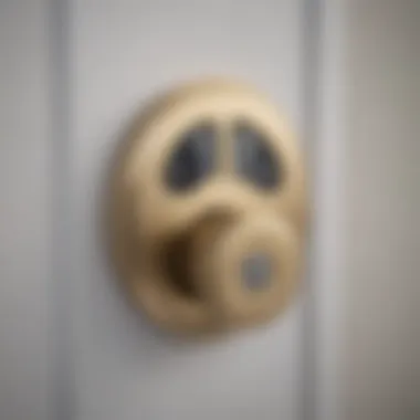 Elegant Design of WiFi Door Lock Sophisticated WiFi Door Lock Design