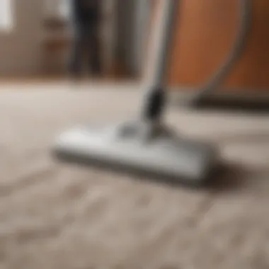 Comparison of Tineco carpet cleaners with traditional cleaning methods