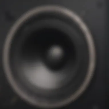 Close-up of speaker's intricate sound system